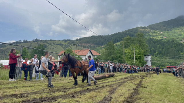 Foto: TO Zlatibor