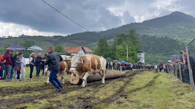 Foto: TO Zlatibor